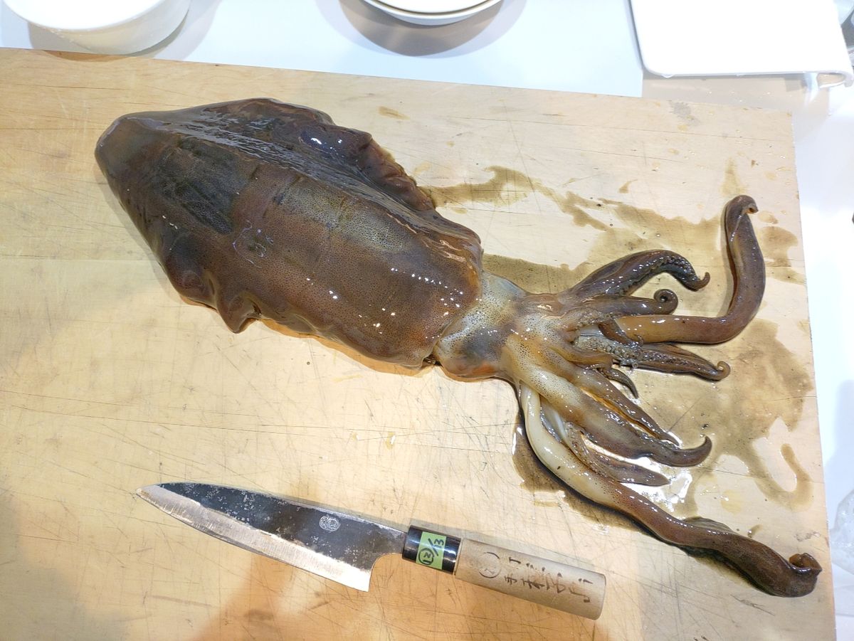 SHKパパさんの釣果 2枚目の画像