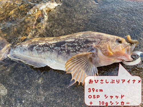 三陸海岸（岩手）