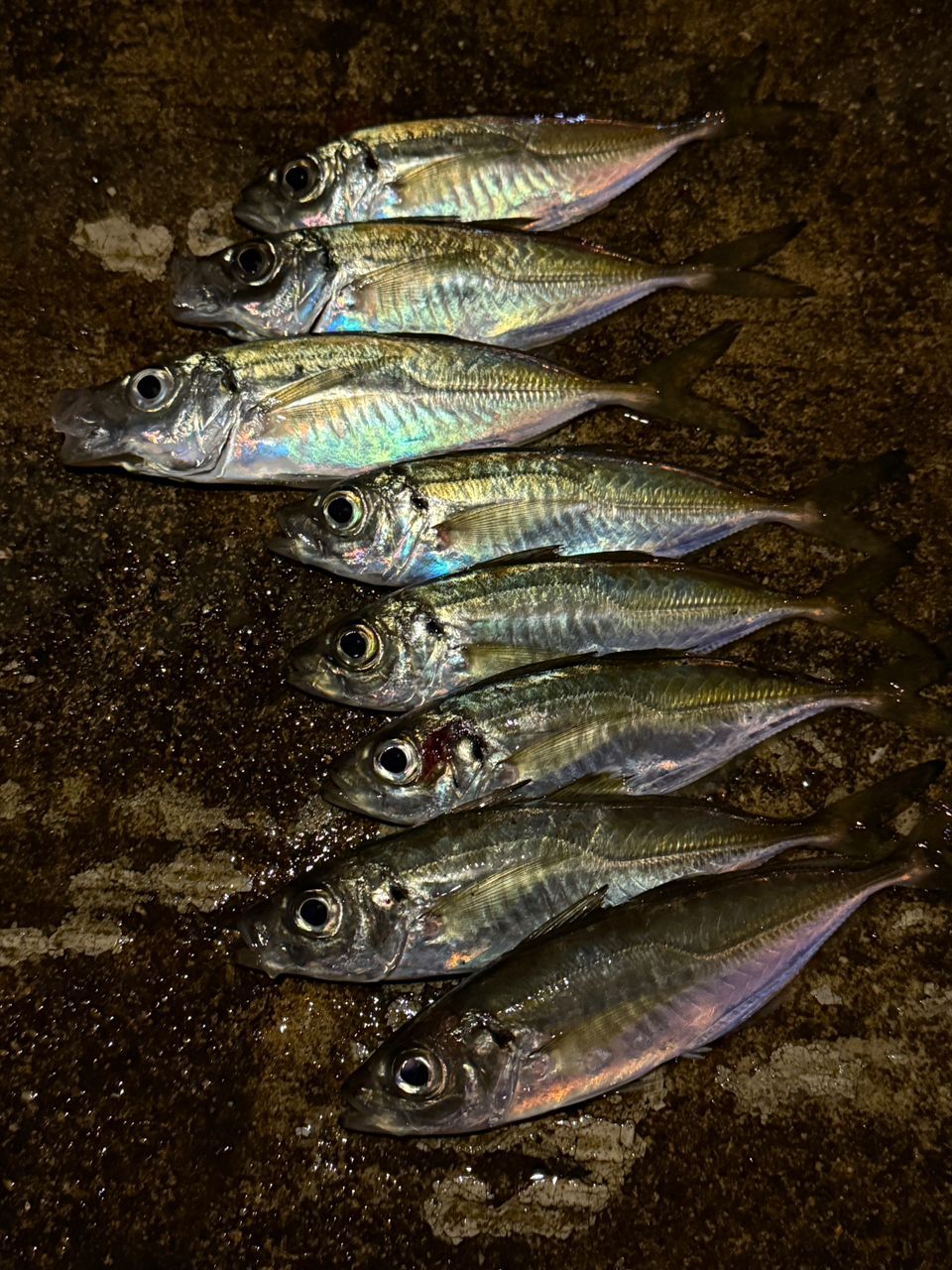 SHIMANO 21ソアレ エクスチューン MB S510SUL+-Sの最安値・インプレ