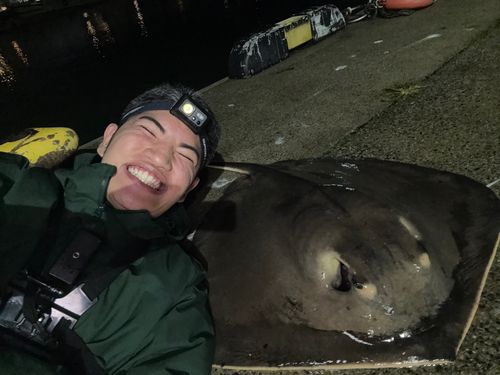 アカエイの釣果