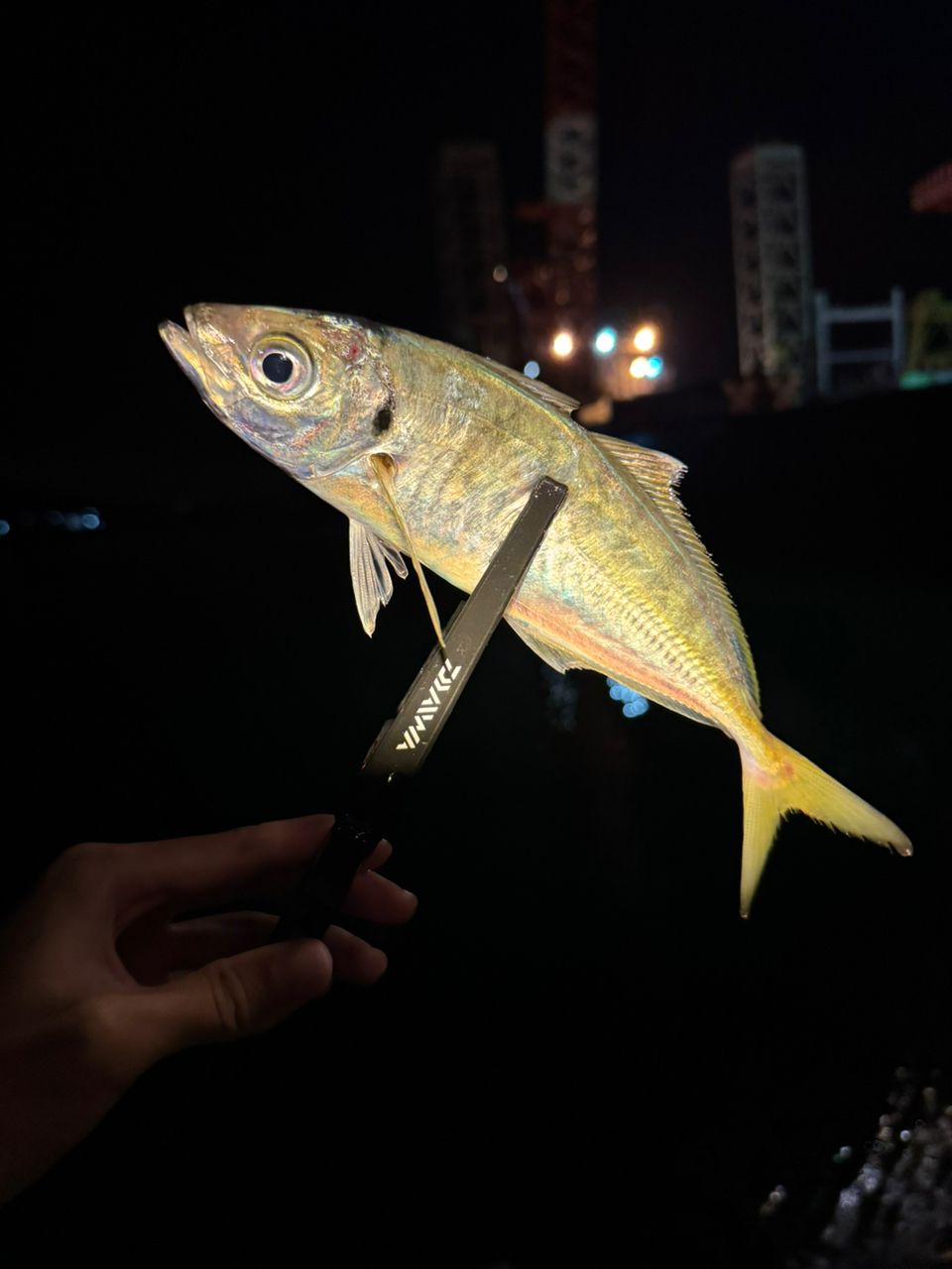 MajorCraft 鯵道 5G AD5-S582L/AJIの最安値・インプレ・釣果 | 本音の