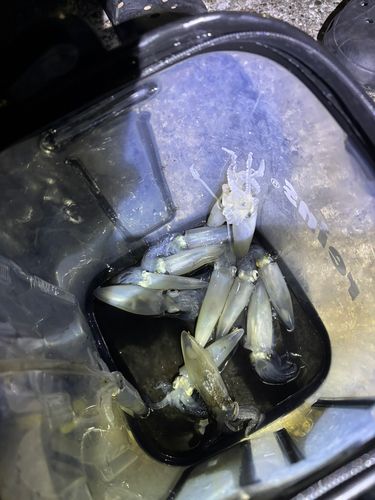 千葉港中央埠頭