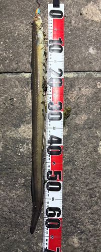 キラキラ公園（苫小牧西港）