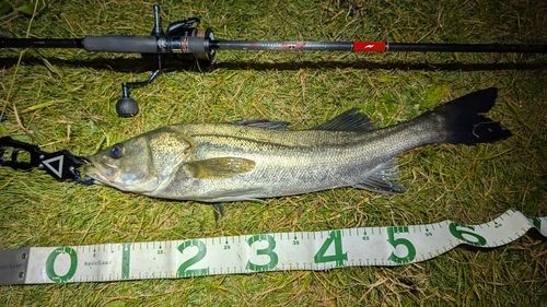 東京湾（アクアライン〜富津）