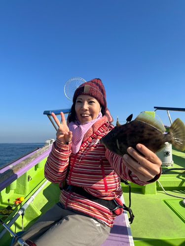 カワハギの釣果