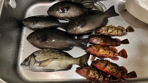 金沢水際線緑地（福浦岸壁）