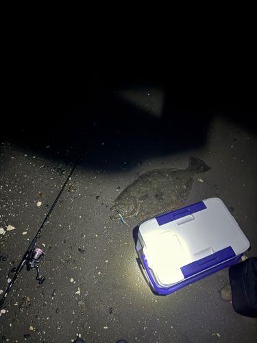 新舞子海岸（富津）