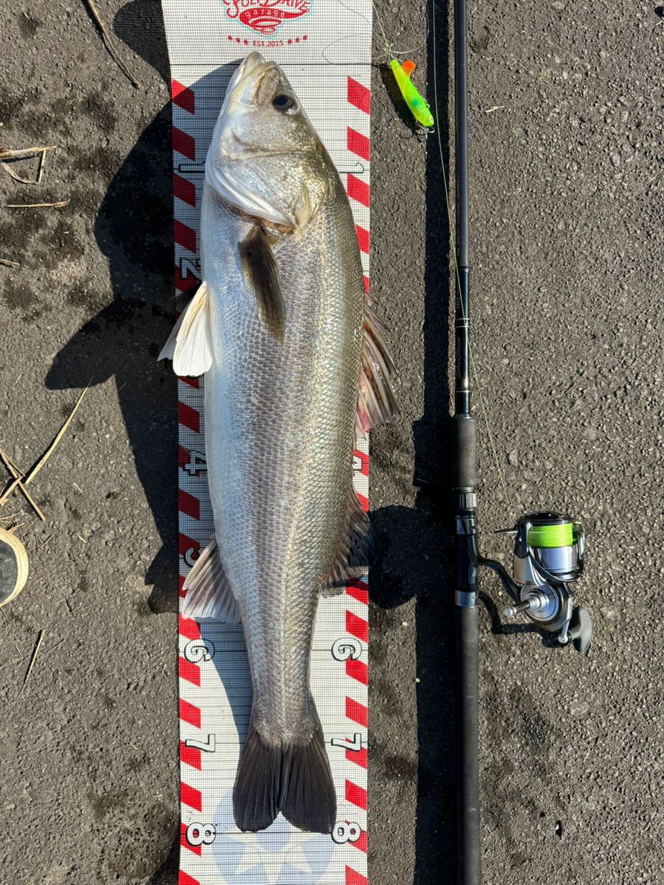 Ripple Fisher シルバーストリーム 103の最安値・インプレ・釣果