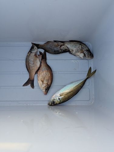 小名浜港アクアマリンふくしま周辺