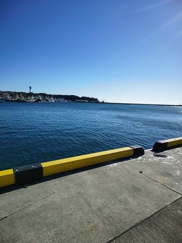 小名浜港市場前