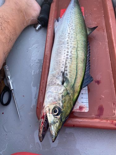 ベイサイドビーチ坂