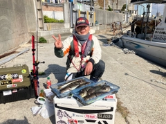 ショウサイフグの釣果