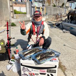 ショウサイフグ