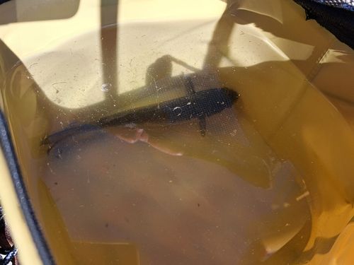 磯子海づり施設