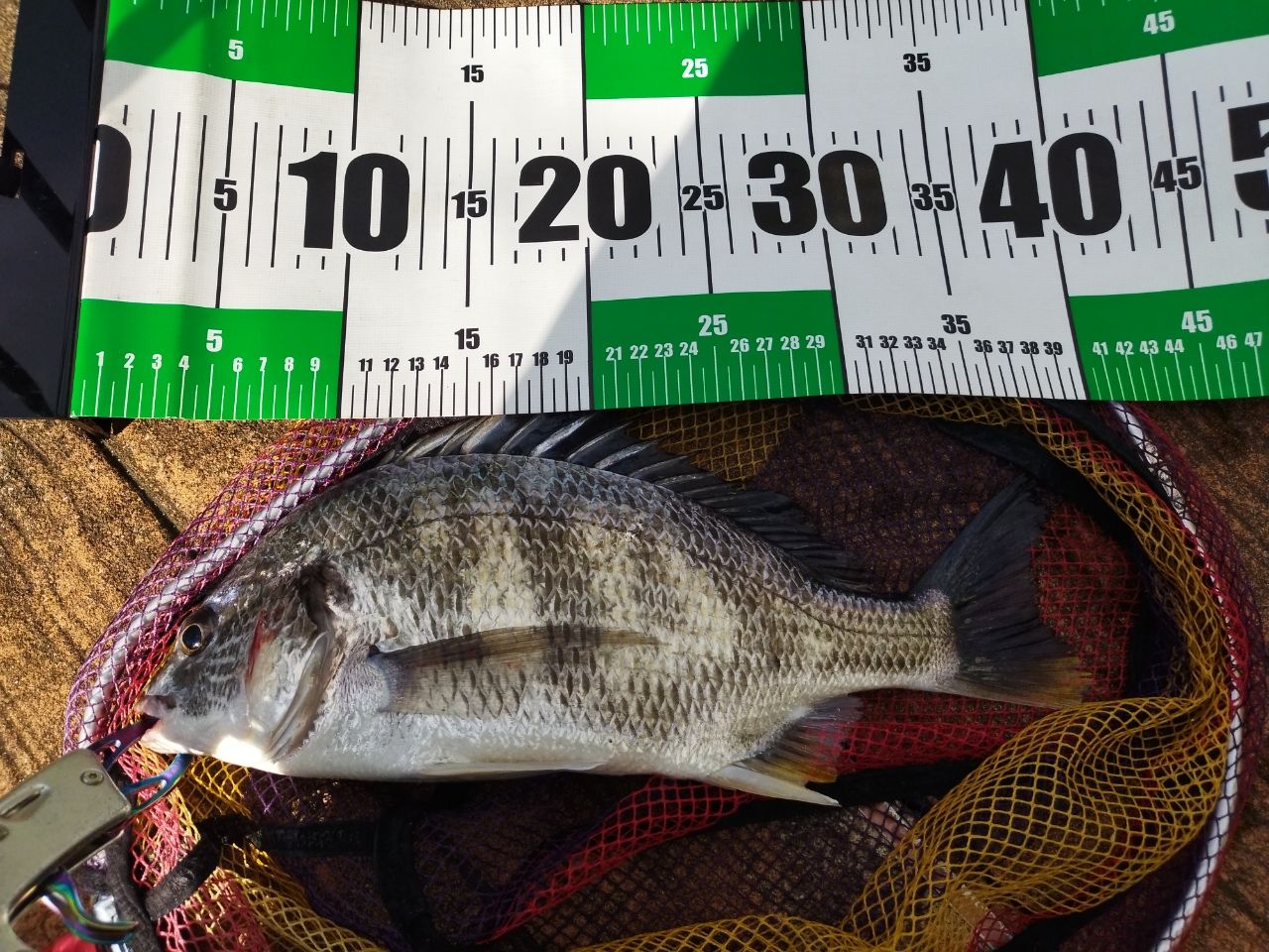 MajorCraft 「三代目」クロステージ クロダイ CRX-S782ML黒鯛の最安値