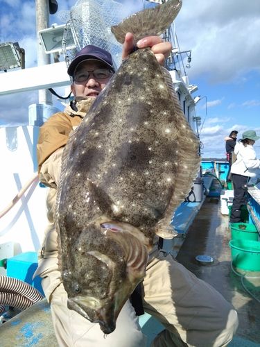 ヒラメの釣果
