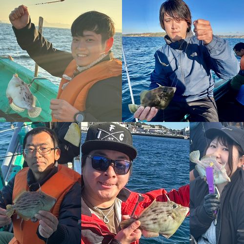 カワハギの釣果