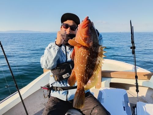 キジハタの釣果