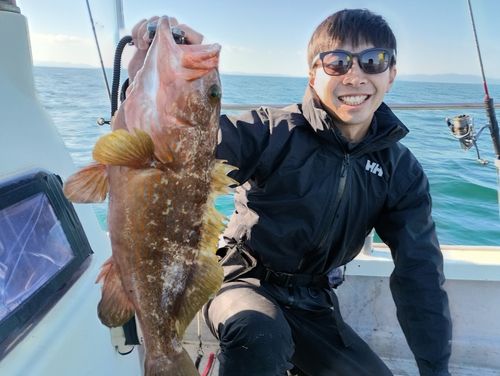 キジハタの釣果