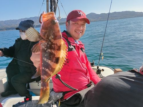 キジハタの釣果