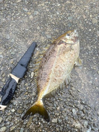 アジュール舞子