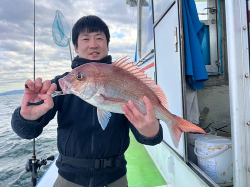 マダイの釣果
