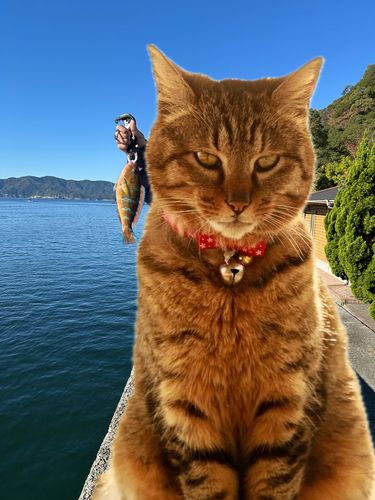 野見潮ばかり公園