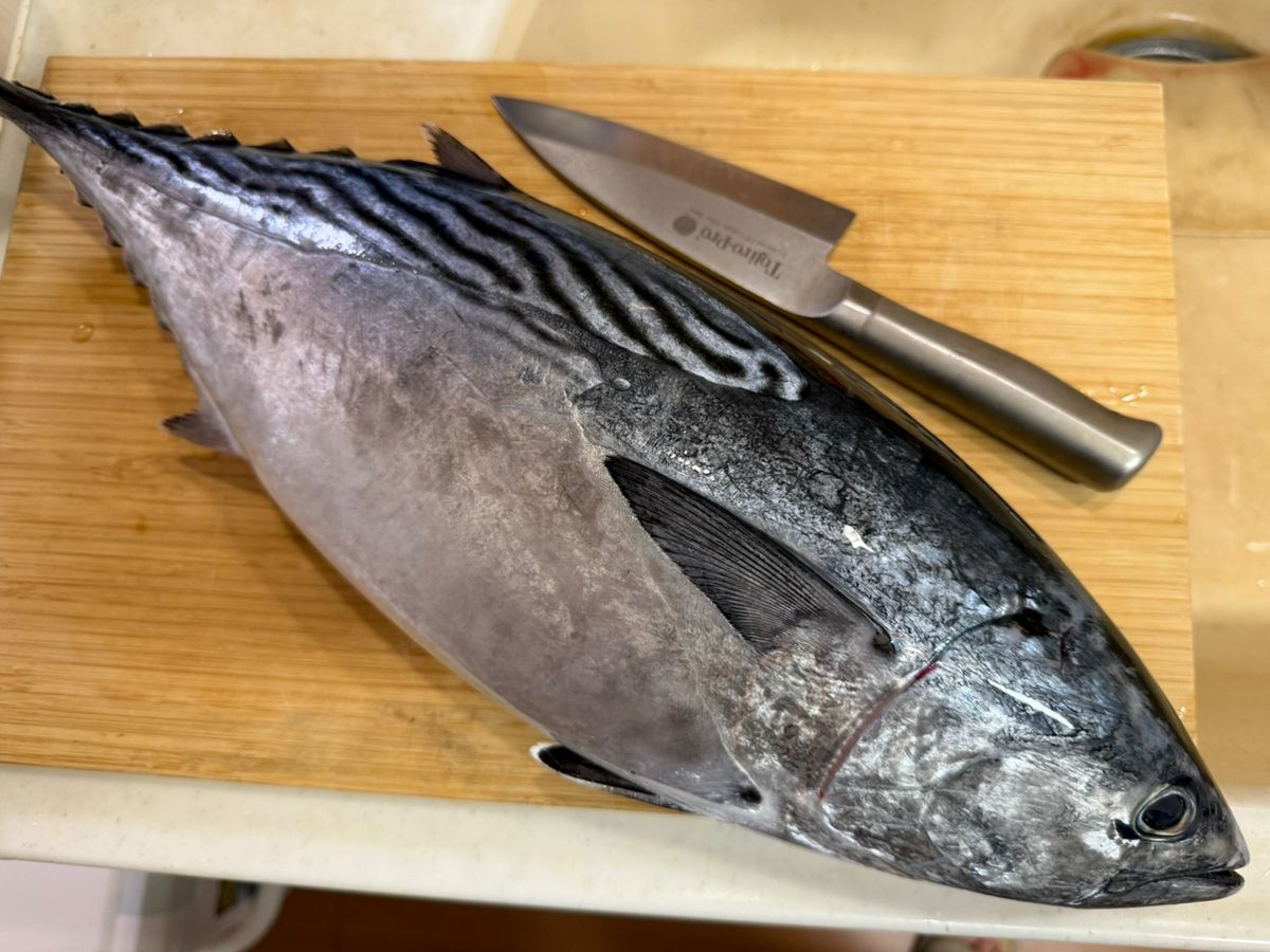 RGB444さんの釣果 2枚目の画像