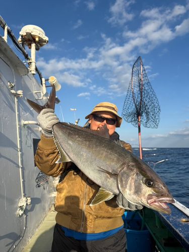 カンパチの釣果