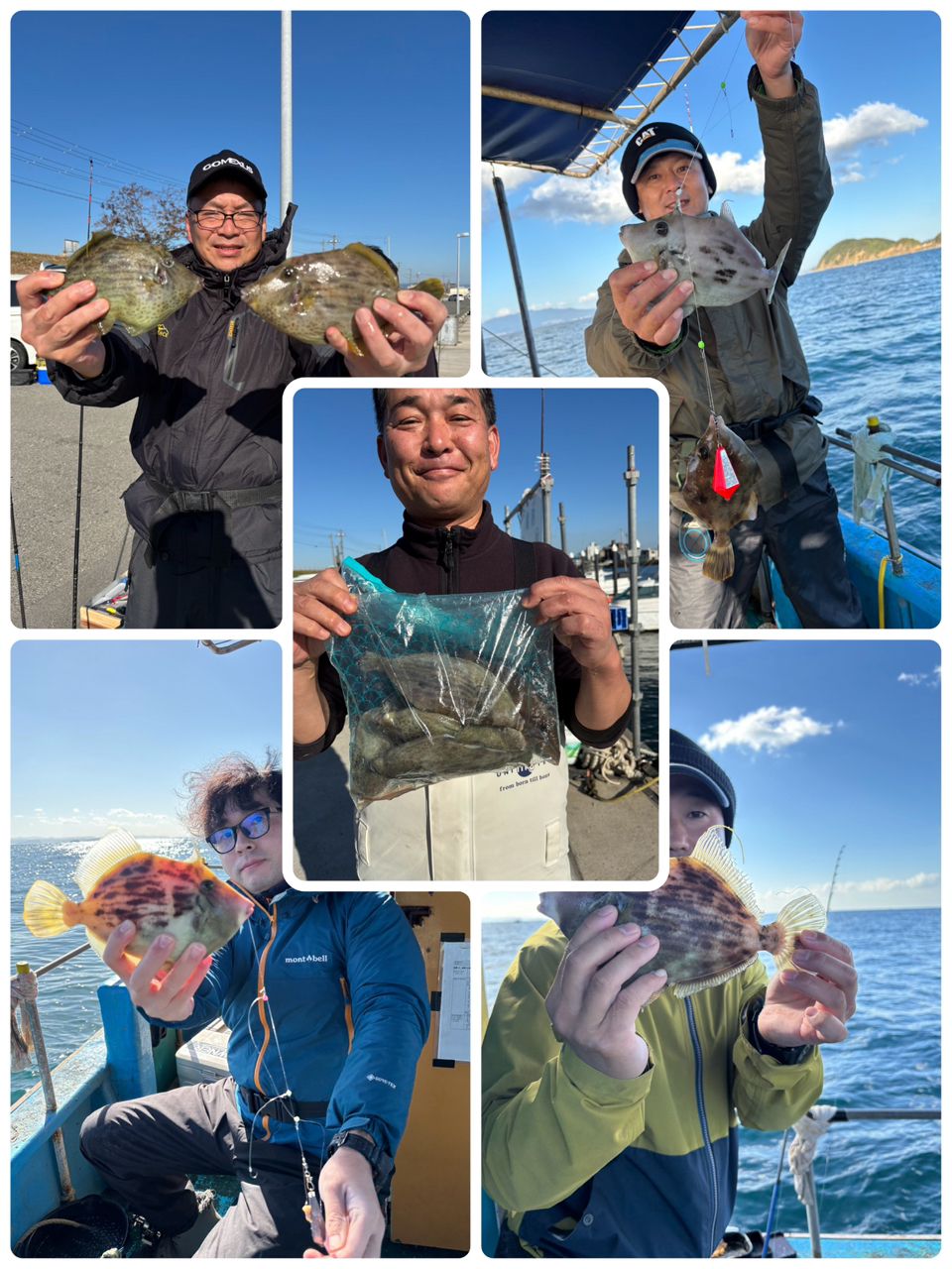 釣船のんちゃんさんの釣果 3枚目の画像