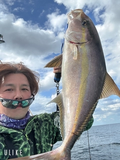 ショゴの釣果
