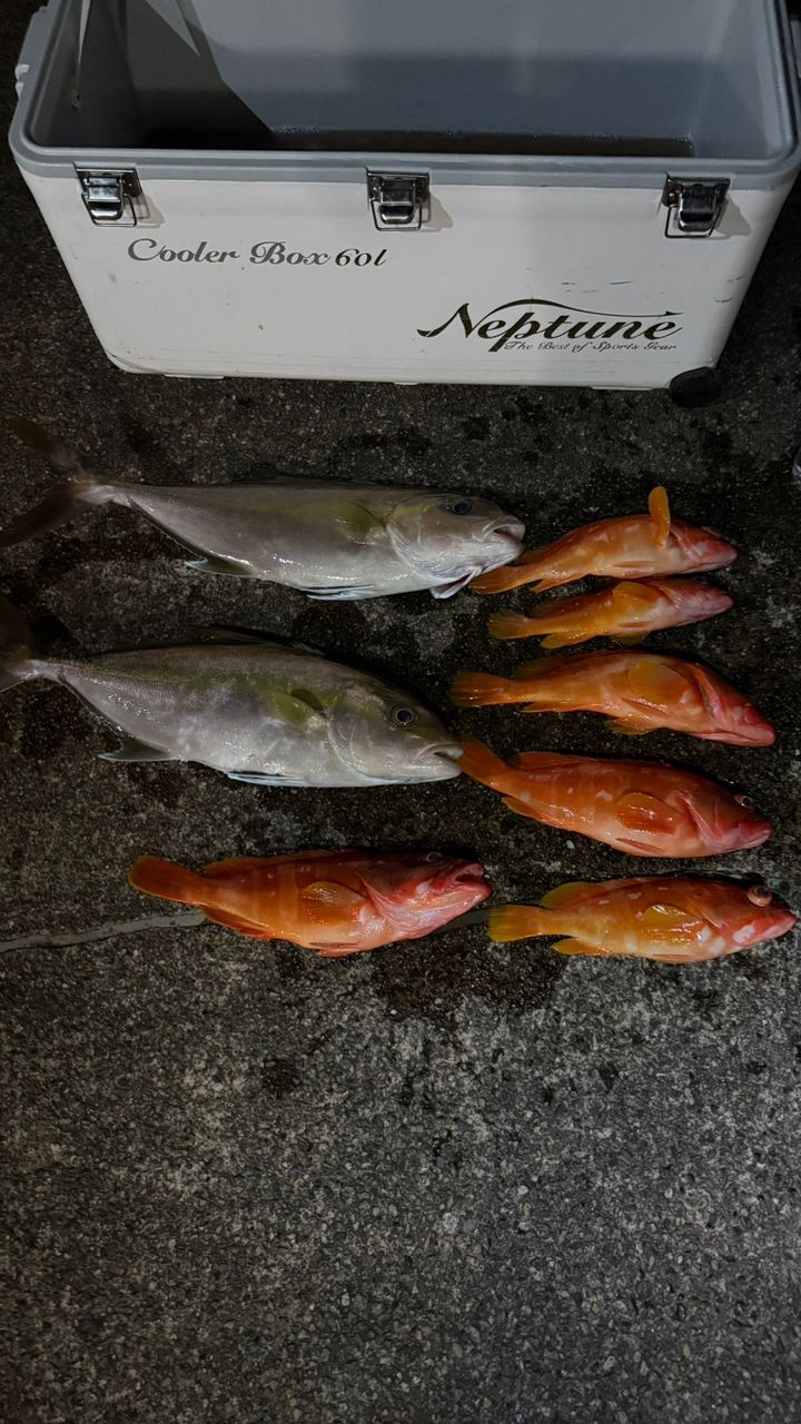 あたるんさんの釣果 3枚目の画像