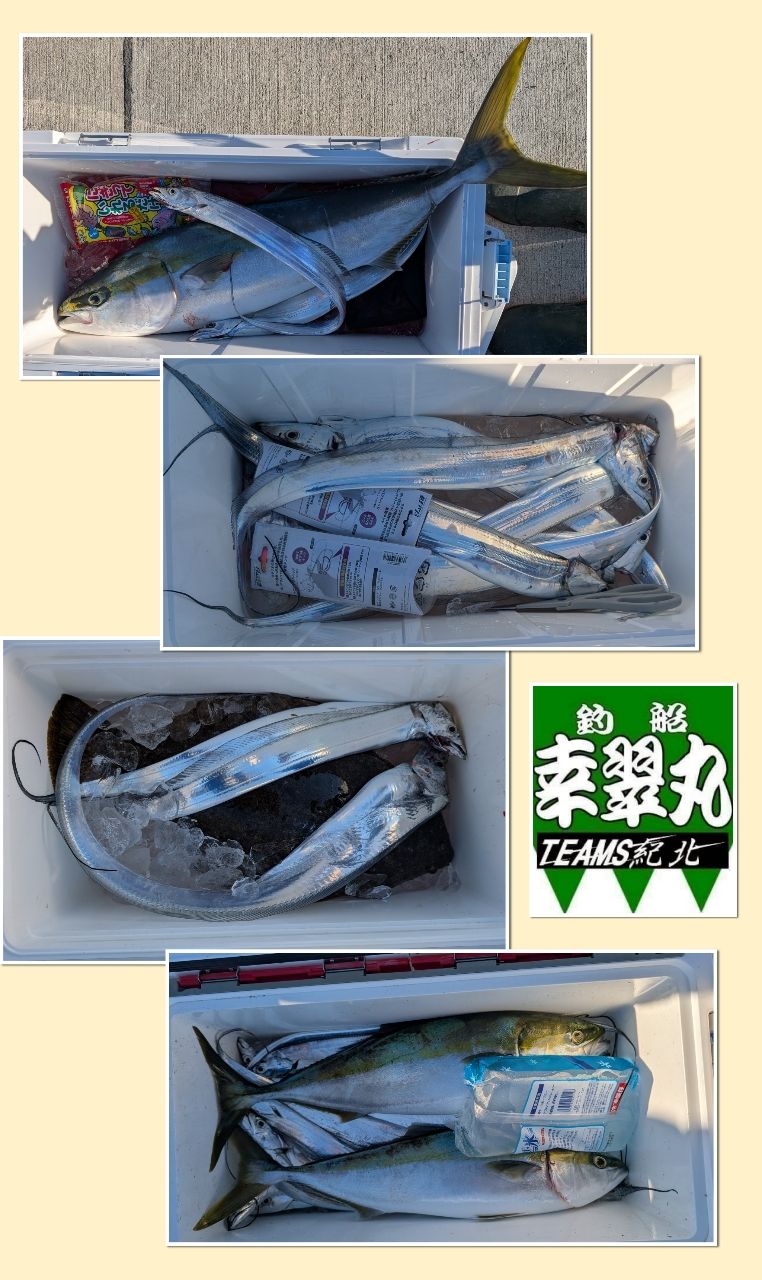 幸翠丸さんの釣果 1枚目の画像