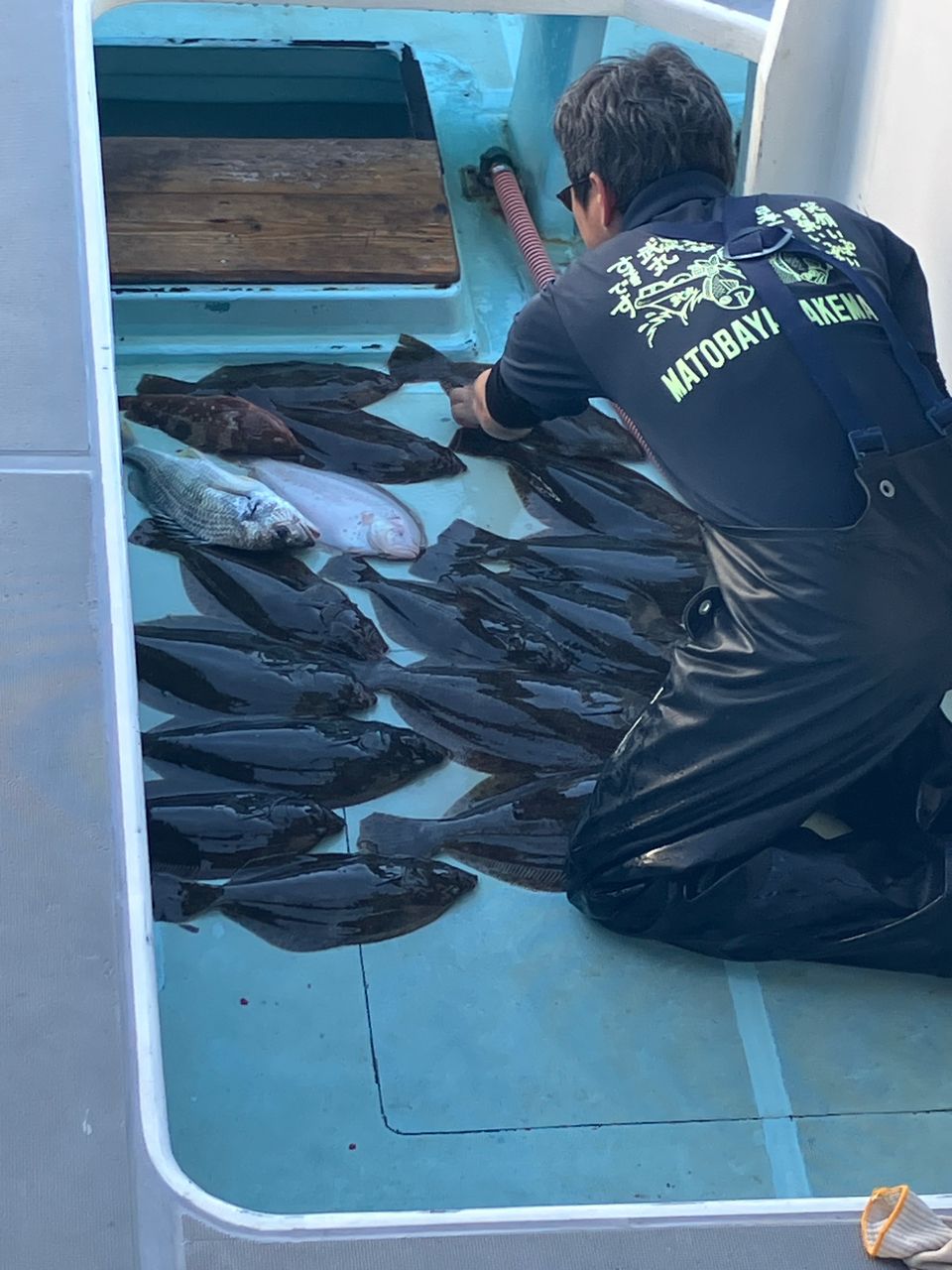 iwamocciさんの釣果 2枚目の画像