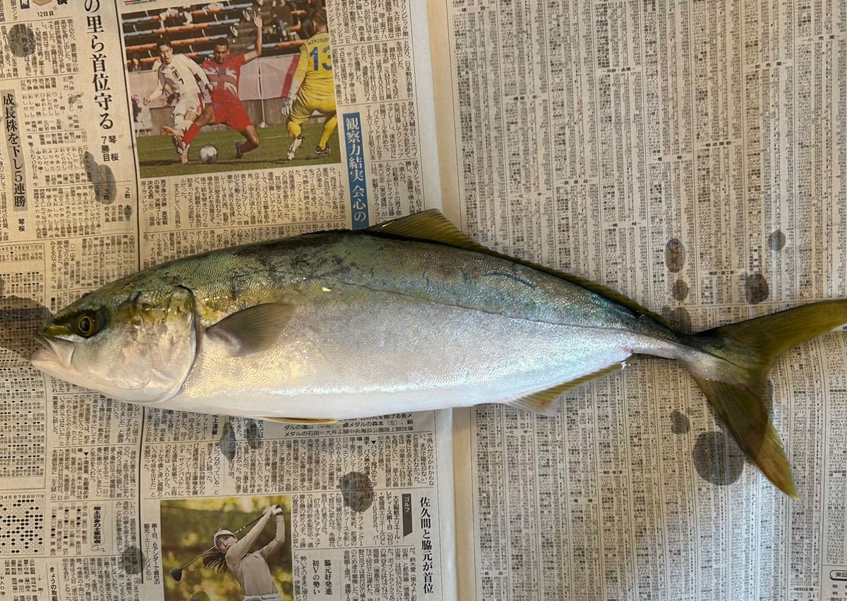 kenken4021さんの釣果 1枚目の画像