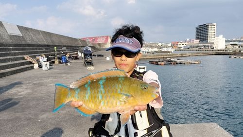 アーガイの釣果