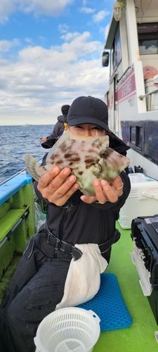 カワハギの釣果