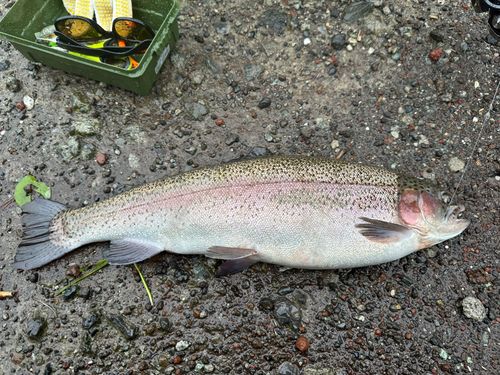 すそのフィッシングパーク