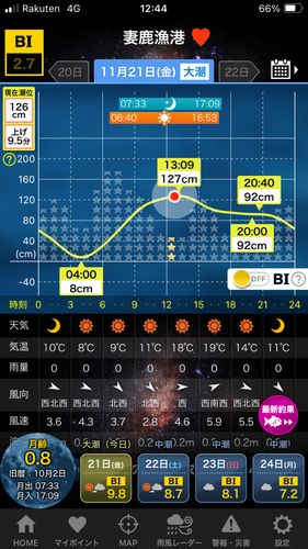 セイゴ（マルスズキ）の釣果