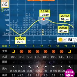 セイゴ（マルスズキ）