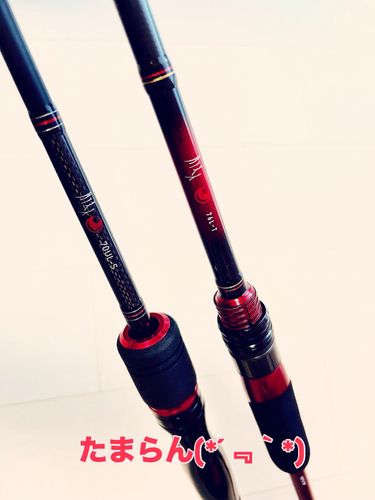 アイナメの釣果