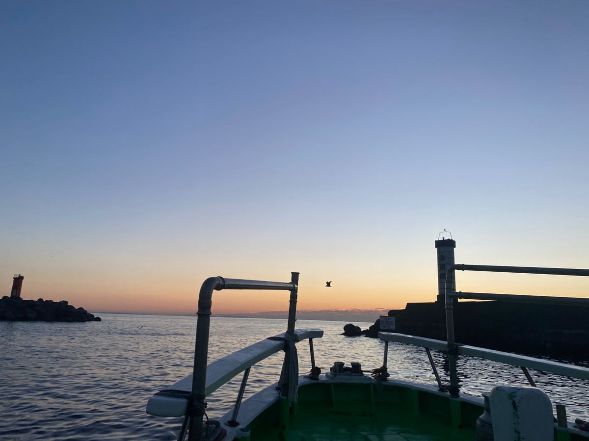 湘南のかつさんの釣果 2枚目の画像
