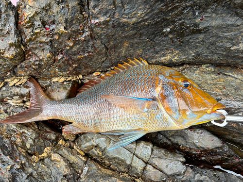 上甑県民自然レクリエーション村