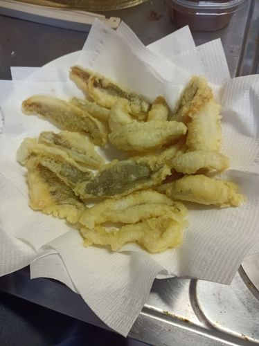 エゾメバルの釣果