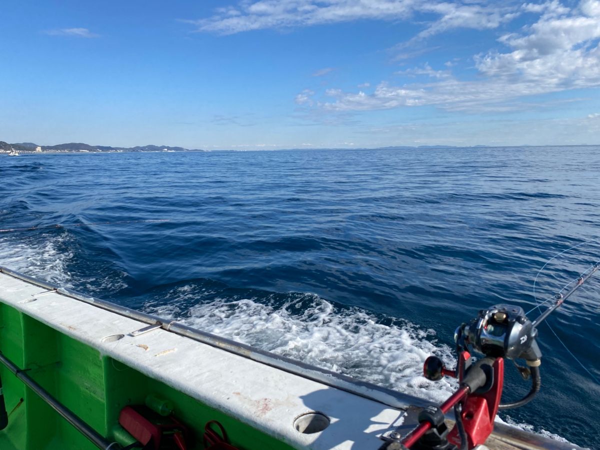湘南のかつさんの釣果 2枚目の画像
