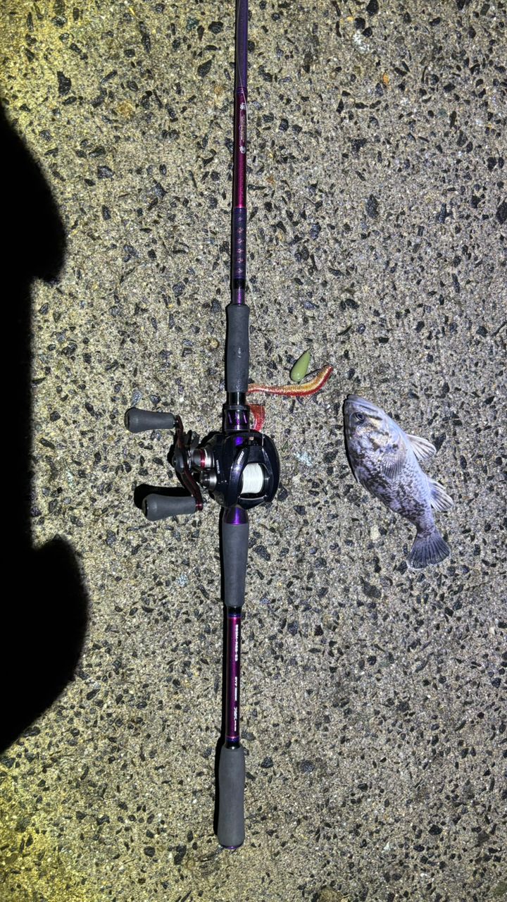 DAIWA 23ハートランド リベラリスト 863M+RSB-23の最安値・インプレ