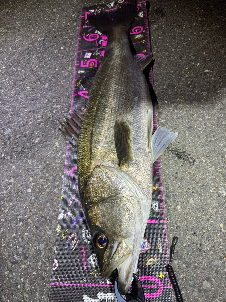 DAIWA 21ラブラックス AGS 100Mの最安値・インプレ・釣果 | 本音の