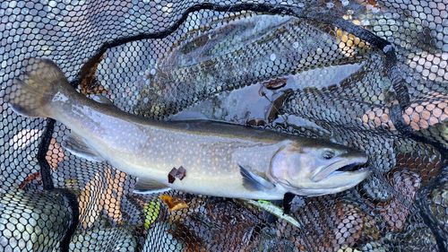 リヴァスポット早戸