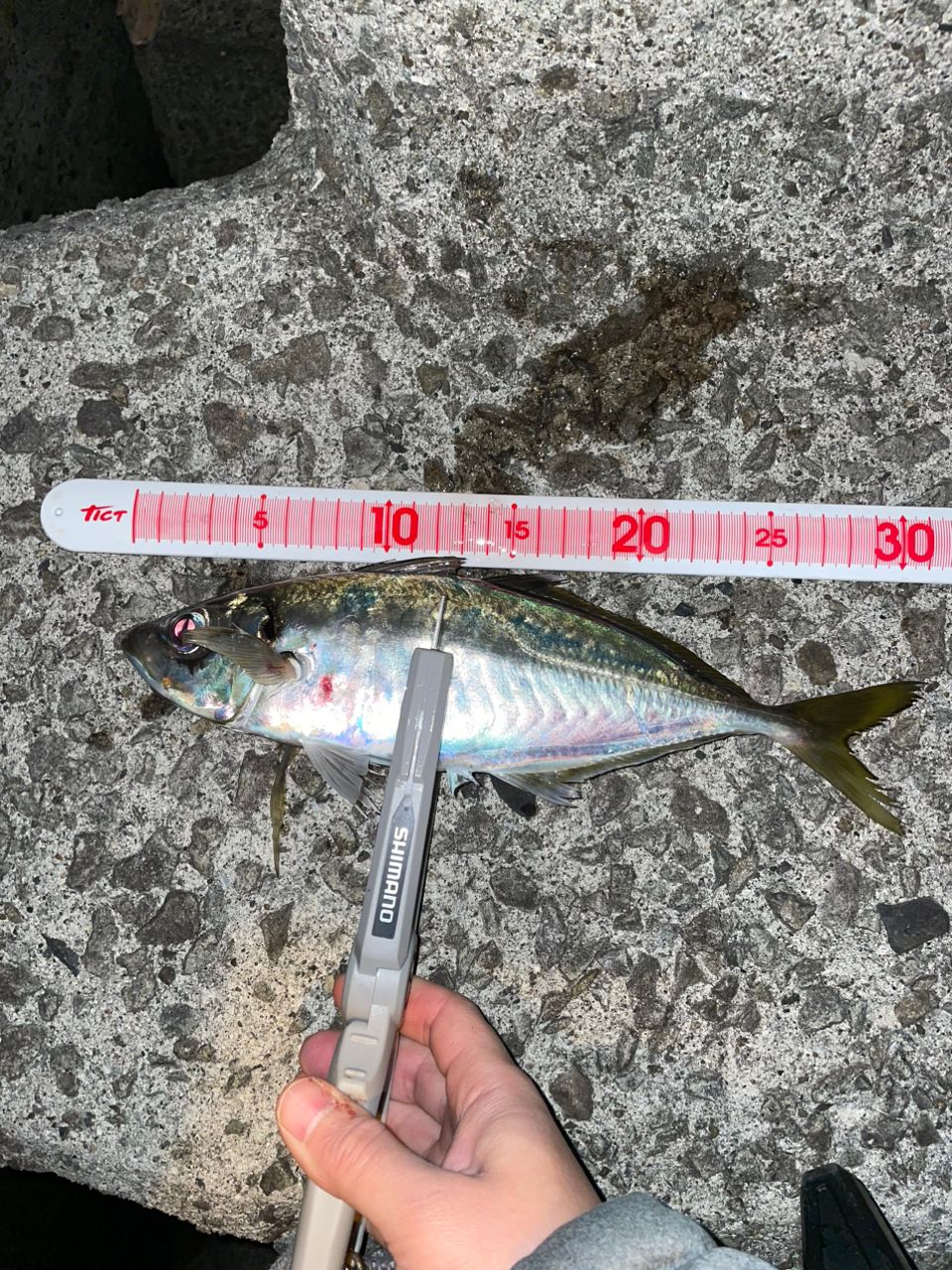 Gamakatsu ラグゼ 宵姫 華 弍 S68FL-solidの最安値・インプレ・釣果