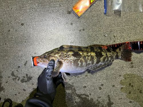 小名浜港アクアマリンふくしま周辺